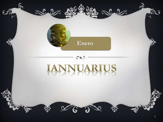 Iannuarius