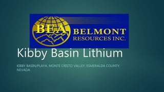Kibby Basin Lithium
KIBBY BASIN/PLAYA, MONTE CRISTO VALLEY, ESMERALDA COUNTY,
NEVADA
 