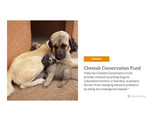 Cheetah Conservation Fund
“Help the Cheetah Conservation Fund
provide Livestock Guarding Dogs to
subsistence farmers in Namibia, to prevent
farmers from avenging livestock predation
by killing the endangered cheetah.”
EXAMPLE
 
