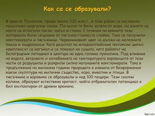 Как са се образували?
В края на Палеозоя, преди около 230 млн.г., в този район се наслоили
песьчливо-мергелни скали. По-кьсно те били заляти от море, на дъното на
което се отлагали пясък, чакъл и глина. С течение на времето тези
материали били свързани от пясъчно-глинеста спойка. Така се получили
конгломерати и пясъчници. Червеникавият цвят се дължи на железните
окиси и хидроокиси. Като резултат на младоалпийския тектонски цикъл
комплексът се нагънал и се показал на сушата, като районът на
Белоградчик попаднал в центъра на една голяма пукнатина. Под влияние
на водата, ветровете и колебанията на температурата варовиците от тези
части се разрушили и разкрили силно напуканите конгломерати. Така в
продължение на милиони години природата е изваяла от безформения
камък скулптури на митични същества, хора, животни и птици. В
пясъчника и варовика се образували и над 100 пещери. Тези скални
колони, образуват естествена крепост, чийто отбранителен потенциал е
бил експоатиран от древни времена.
 