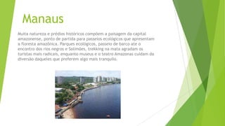 Manaus
Muita natureza e prédios históricos compõem a paisagem da capital
amazonense, ponto de partida para passeios ecológicos que apresentam
a floresta amazônica. Parques ecológicos, passeio de barco ate o
encontro dos rios negros e Solimões, trekking na mata agradam os
turistas mais radicais, enquanto museus e o teatro Amazonas cuidam da
diversão daqueles que preferem algo mais tranquilo.
 