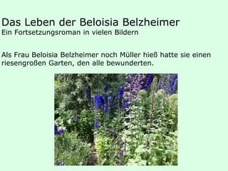 Das Leben der Beloisia Belzheimer
Ein Fortsetzungsroman in vielen Bildern
Als Frau Beloisia Belzheimer noch Müller hieß hatte sie einen
riesengroßen Garten, den alle bewunderten.
 