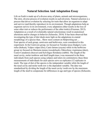 Natural Selection And Adaptation Essay
Life on Earth is made up of a diverse array of plants, animals and microorganisms.
The slow, diverse process of evolution results in such diversity. Natural selection is a
process that drives evolution by selecting for traits that allow an organism to adapt
and survive (and thereby reproduce) in its environment. Though adaptations help an
organism survive in its environment, every adaptation either results in the loss of
some other trait or reduces the performance of the other trait(s) (Freeman, 2013).
Adaptation as a result of evolutionby natural selectionmay result in anatomical
alterations and/or changes in behavior (Schussler, 2014). It has been observed that
investigating the type of diet sheds more light on the adaptations in cranial
morphology of a species than... Show more content on Helpwriting.net ...
Four species of each group, carnivores and herbivores, were considered in this
experiment. In the Carnivore group, we focused on Taxidea taxus (badger), Lynx
rufus (bobcat), Vulpes vulpes (fox), Canis latrans (coyote) while in the herbivore
group we focused on Marmota monax (woodchuck), Odocolieus virginianus (deer),
Castor Canadensis (beaver) and Sylvilagus floridanus (rabbit). The length of the
nasal cavity, molar toothrow and skull length (max.) was measured in the three
individuals from each species using calipers and rulers (in centimeters); these three
measurements of individuals for each species serve as replicates (12 replicates in
total). The type of diet of the species is the independent variable while the length of
the nasal cavity and molar tooth row is the dependent variable. The data was
standardized by dividing the length of the nasal cavity/ tooth row by the maximum
length of the skull to compensate for differences in age and type of species (Schussler,
 