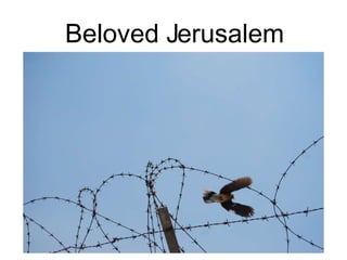 Beloved Jerusalem 