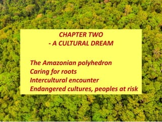 CHAPTER TWO
- A CULTURAL DREAM
The Amazonian polyhedron
Caring for roots
Intercultural encounter
Endangered cultures, peoples at risk
 