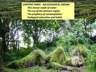 CHAPTER THREE - AN ECOLOGICAL DREAM
This dream made of water
The cry of the Amazon region
The prophecy of contemplation
Ecological education and habits
 