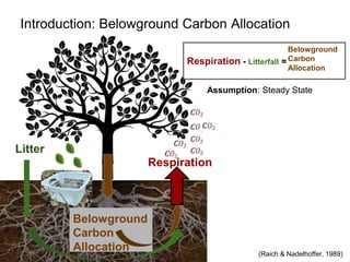 (Raich & Nadelhoffer, 1989)
Introduction: Belowground Carbon Allocation
Litter
Respiration
Belowground
Carbon
Allocation
B...