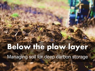 Below the plow layer
Managing soil for deep carbon storage
 