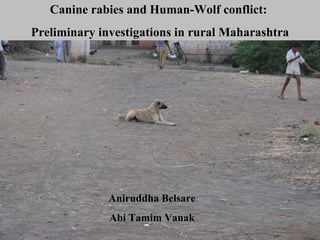 Aniruddha Belsare Abi Tamim Vanak Canine rabies and Human-Wolf conflict:  Preliminary investigations in rural Maharashtra 