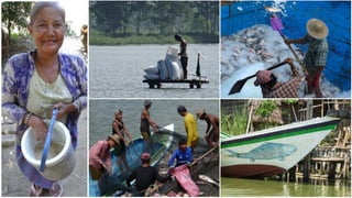 The Quiet Revolution in Myanmar’s Aquaculture Value Chain