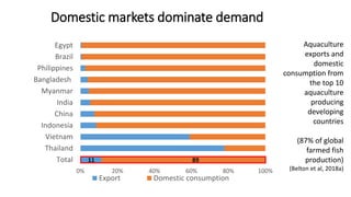 The Quiet Revolution in Myanmar’s Aquaculture Value Chain