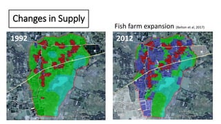 The Quiet Revolution in Myanmar’s Aquaculture Value Chain