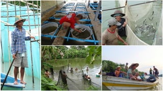 The Quiet Revolution in Myanmar’s Aquaculture Value Chain