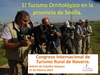 El Turismo Ornitológico en la
provincia de Sevilla.

Congreso Internacional de
Turismo Rural de Navarra.
Beltrán de Ceballos Vázquez.
21 de febrero 2014

 