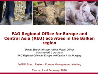 FAO Regional Office for Europe and
Central Asia (REU) activities in the Balkan
region
Daniel Beltran-Alcrudo, Animal Health Officer
Mark Hovari, Consultant
FAO Regional Office for Europe and Central Asia, Hungary
EuFMD South Eastern Europe Management Meeting
Tirana, 5 – 6 February 2020
 