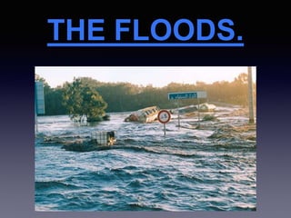 THE FLOODS.
 