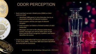 ODOR PERCEPTION
#VodkaAndCaviar @vodkabeluga #BelugaVodka #TOTC2019
• Buck and Axel earned a Nobel prize (2004) on their
work on smell
• Identified 1000 genes in mice that give rise to an
equivalent number of odorant receptors
• Each receptor cell has one type of odorant
receptor
• Each receptor can detect a limited number of odor
molecules
• Messages are sent to the olfactory bulb where
further messages are sent to other parts of the
brain and the brain recognizes a pattern and hence
identifies the aroma
• Zozuluya et al identified 347 human odorant receptors
in the early 2000’s . Since then 800 have been identified
but only half are functional
 