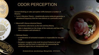 ODOR PERCEPTION
#VodkaAndCaviar @vodkabeluga #BelugaVodka #TOTC2019
Current thinking on odor perception shifts between a number of
theories
• Turin’s Vibration Theory – simplistically every molecule generates a
vibrational frequency that the nose detects as a particular smell
• Moncrieff’s Stereo-chemical theory
– Sometimes referred to as the lock and key theory
– Odor is dependent on the shape of the molecule and how it fits
into a receptor and activates it
• Odotope theory
– a combination of activated receptors is responsible for any one
smell
– Receptors recognize only small structural features on each
molecule, and the brain is responsible for processing the
combined signal into an interpreted smell.
 