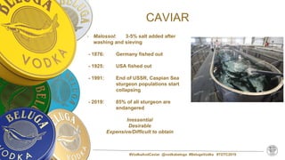 CAVIAR
- Malossol: 3-5% salt added after
washing and sieving
- 1876: Germany fished out
- 1925: USA fished out
- 1991: End of USSR, Caspian Sea
sturgeon populations start
collapsing
- 2019: 85% of all sturgeon are
endangered
Inessential
Desirable
Expensive/Difficult to obtain
#VodkaAndCaviar @vodkabeluga #BelugaVodka #TOTC2019
 