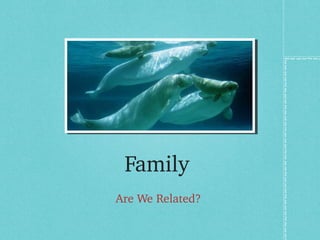 Family 
Are We Related? 
 