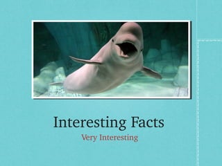 Interesting Facts 
    Very Interesting 
 