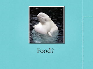 Food? 
 