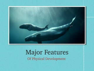 Major Features
Of Physical Development 
 