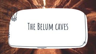 The Belum caves
 