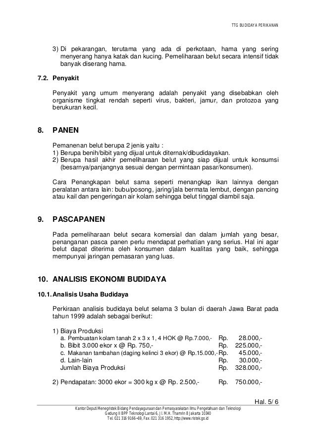 Analisa Bisnis Budidaya Belut Analisa Bisnis Budidaya Belut