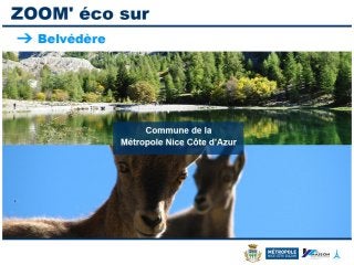 ZOOM Eco sur Belvédère, commune de la Métropole Nice Côte d'Azur