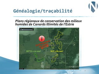 Généalogie/traçabilité	
  
	
  Plans	
  régionaux	
  de	
  conservation	
  des	
  milieux	
  

humides	
  de	
  Canards	
  Illimités	
  de	
  l’Estrie	
  

	
  

BDTQ	
  1:20	
  000e	
  	
  

SCF	
  1:80	
  000e	
  	
  

18	
  

 