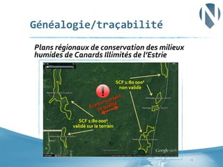 Généalogie/traçabilité	
  
	
  Plans	
  régionaux	
  de	
  conservation	
  des	
  milieux	
  

humides	
  de	
  Canards	
  Illimités	
  de	
  l’Estrie	
  

	
  
SCF	
  1:80	
  000e	
  
non	
  validé	
  	
  

SCF	
  1:80	
  000e	
  
validé	
  sur	
  le	
  terrain	
  	
  

19	
  

 