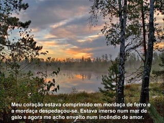 Meu coração estava comprimido em mordaça de ferro e a mordaça despedaçou-se. Estava imerso num mar de gelo e agora me acho envolto num incêndio de amor. 