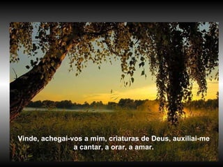 Vinde, achegai-vos a mim, criaturas de Deus, auxiliai-me a cantar, a orar, a amar. 