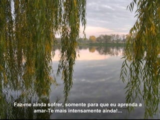 Faz-me ainda sofrer, somente para que eu aprenda a amar-Te mais intensamente ainda!... 