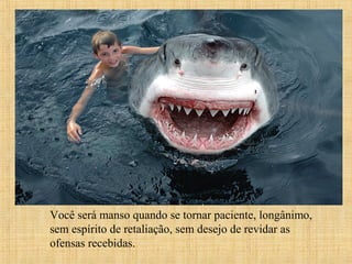 15/12/201012
Você será manso quando se tornar paciente, longânimo,
sem espírito de retaliação, sem desejo de revidar as
ofensas recebidas.
 