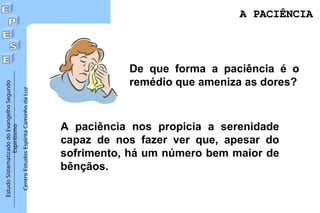 Estudo
Sistematizado
do
Evangelho
Segundo
Espiritismo
Centro
Estudos
Espírita
Caminho
da
Luz
De que forma a paciência é o
remédio que ameniza as dores?
A paciência nos propicia a serenidade
capaz de nos fazer ver que, apesar do
sofrimento, há um número bem maior de
bênçãos.
A PACIÊNCIA
A PACIÊNCIA
 