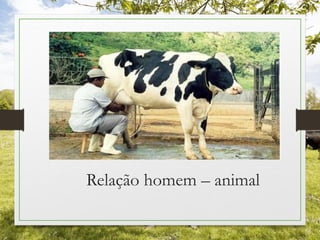 Relação homem – animal
 