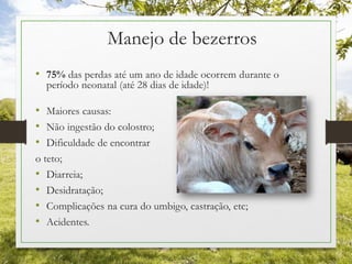 Manejo de bezerros
• 75% das perdas até um ano de idade ocorrem durante o
período neonatal (até 28 dias de idade)!
• Maiores causas:
• Não ingestão do colostro;
• Dificuldade de encontrar
o teto;
• Diarreia;
• Desidratação;
• Complicações na cura do umbigo, castração, etc;
• Acidentes.
 