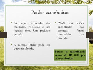Perdas econômicas
• As peças machucadas são
mutiladas, rejeitadas e até
jogadas fora. Um prejuízo
grande.
• A carcaça inteira pode ser
desclassificada.
• 39,6% das lesões
encontradas nas
carcaças, foram
produzidas na
fazenda.
Perdas já quantificada
acima de R$ 8,00 por
cabeça abatida!
http://www.fepaf.org.br/Cont_Default.aspx?pub=725
 