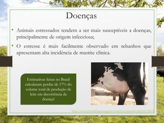 Doenças
• Animais estressados tendem a ser mais susceptíveis a doenças,
principalmente de origem infecciosa;
• O estresse é mais facilmente observado em rebanhos que
apresentam alta incidência de mastite clínica.
http://www.portaldoagronegocio.com.br/conteudo.php?id=38638
Estimativas feitas no Brasil
calcularam perdas de 17% do
volume total de produção de
leite em decorrência da
doença!
 