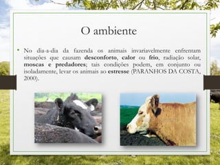 O ambiente
• No dia-a-dia da fazenda os animais invariavelmente enfrentam
situações que causam desconforto, calor ou frio, radiação solar,
moscas e predadores; tais condições podem, em conjunto ou
isoladamente, levar os animais ao estresse (PARANHOS DA COSTA,
2000).
 