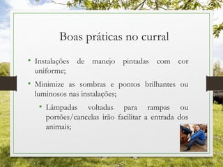 Boas práticas no curral
• Instalações de manejo pintadas com cor
uniforme;
• Minimize as sombras e pontos brilhantes ou
luminosos nas instalações;
• Lâmpadas voltadas para rampas ou
portões/cancelas irão facilitar a entrada dos
animais;
 