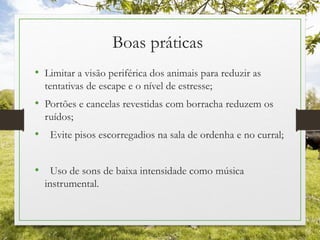Boas práticas
• Limitar a visão periférica dos animais para reduzir as
tentativas de escape e o nível de estresse;
• Portões e cancelas revestidas com borracha reduzem os
ruídos;
• Evite pisos escorregadios na sala de ordenha e no curral;
• Uso de sons de baixa intensidade como música
instrumental.
 