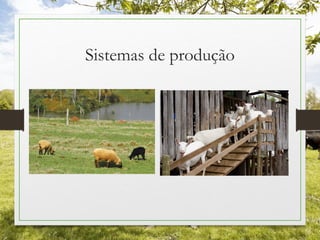 Sistemas de produção
 