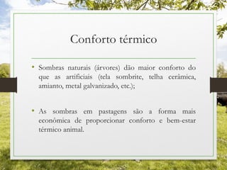 Conforto térmico
• Sombras naturais (árvores) dão maior conforto do
que as artificiais (tela sombrite, telha cerâmica,
amianto, metal galvanizado, etc.);
• As sombras em pastagens são a forma mais
econômica de proporcionar conforto e bem-estar
térmico animal.
 