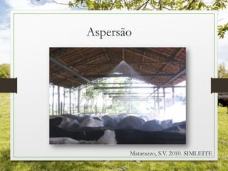 Aspersão
Matarazzo, S.V. 2010. SIMLEITE
 