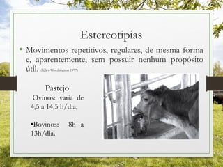 Estereotipias
• Movimentos repetitivos, regulares, de mesma forma
e, aparentemente, sem possuir nenhum propósito
útil. (Kiley-Worthington 1977)
Pastejo
Ovinos: varia de
4,5 a 14,5 h/dia;
•Bovinos: 8h a
13h/dia.
 