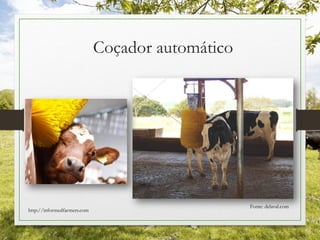 Coçador automático
Fonte: delaval.com
http://informedfarmers.com
 
