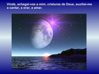 Vinde, achegai-vos a mim, criaturas de Deus, auxiliai-me a cantar, a orar, a amar. 